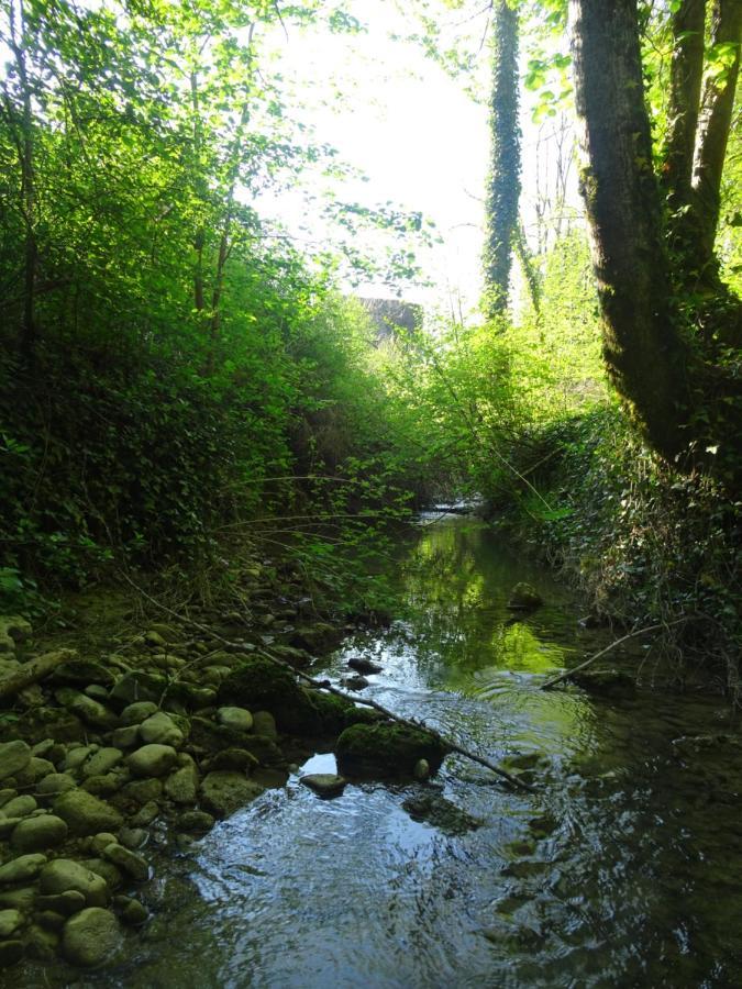 La Chambre Des Carrelets Montigny-sur-l'Ain Bagian luar foto